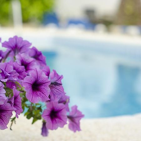 La Crisalida Retreats Lägenhet El Albir Exteriör bild